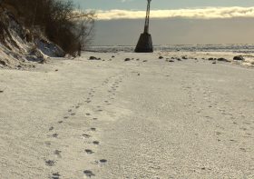 The Best Photos of Contest «Traces»