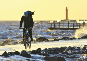 The Best Photos of Contest «Bicycle»