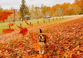 The Best Photos of Contest «Autumn»