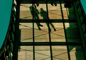 The Best Photos of Contest «Shadows»